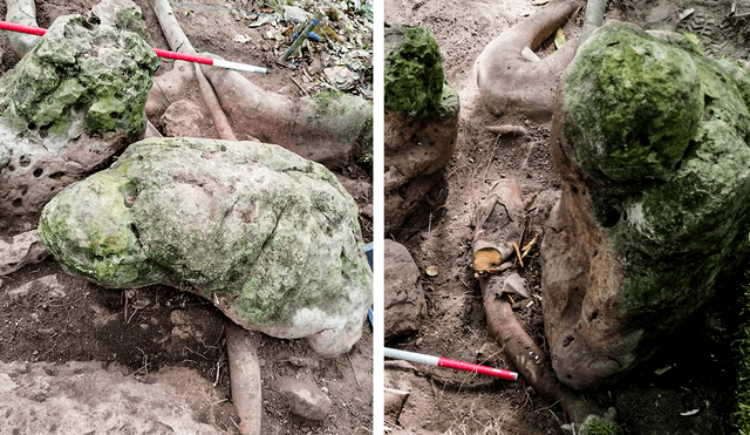 Se pueden encontrar 2.800 años de ciudad maya en la jungla de Petén

 – Ojo critico