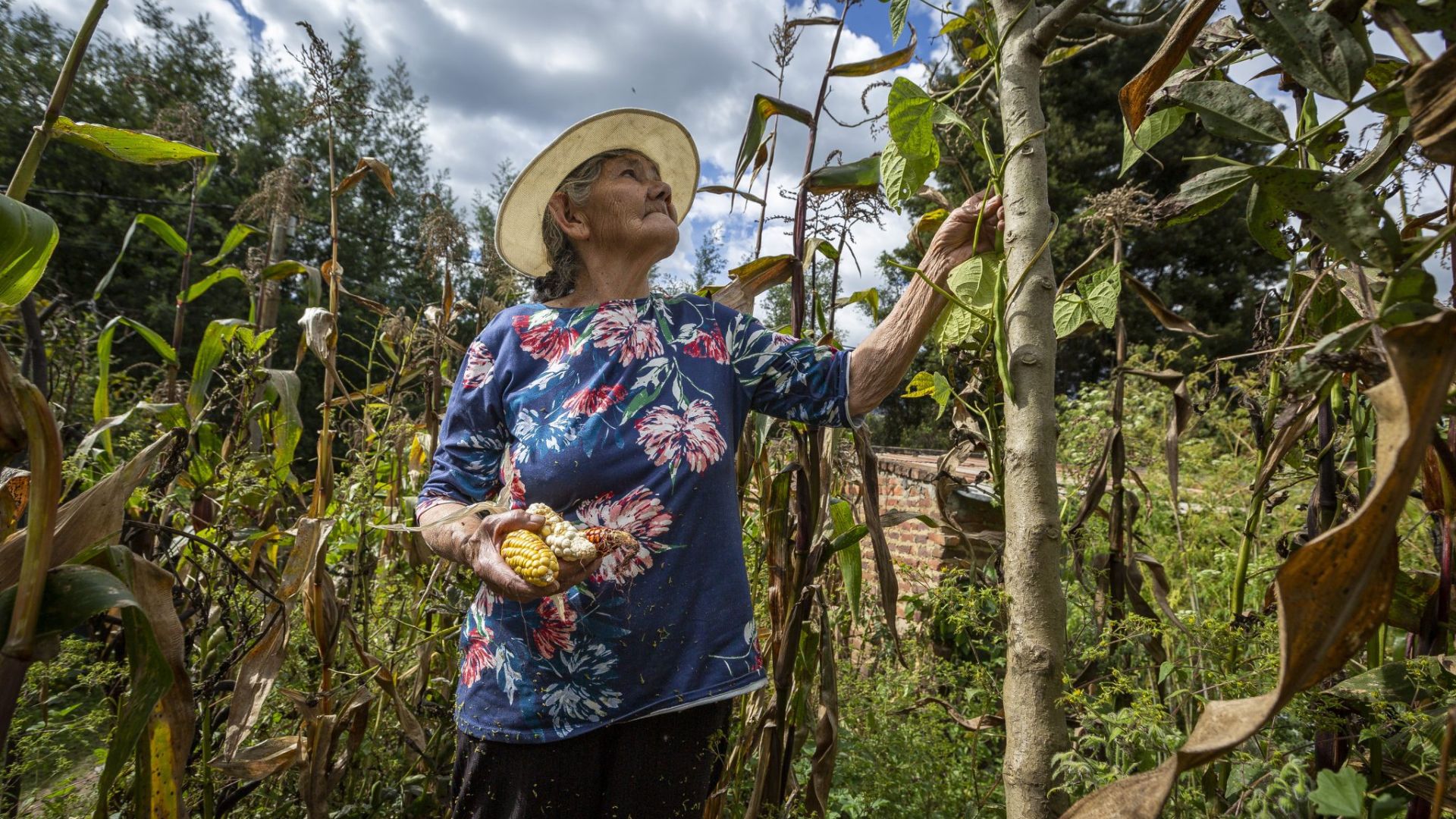 Guía de madres emprendedoras que desean organizar sus finanzas