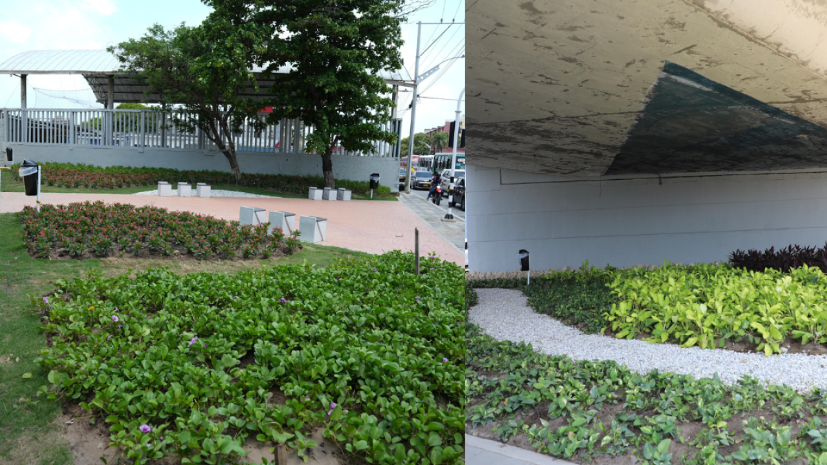 Descarga de basura y un lugar peligroso en verde y una reunión de Barranquilleros

 – Ojo critico