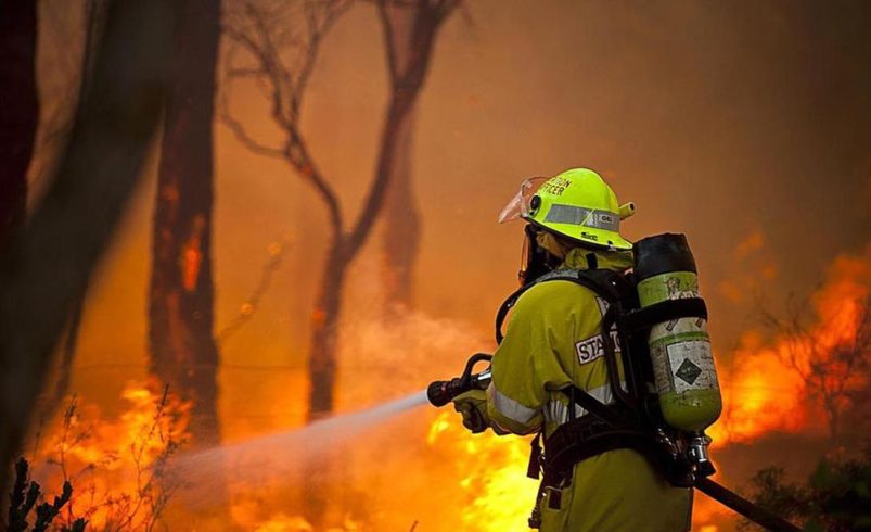 Día internacional de bomberos: un tributo a aquellos que arriesgan sus vidas por los demás