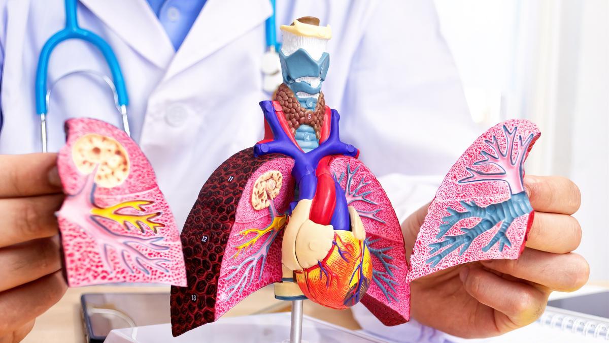 Informan 111 casos de tuberculosis en la prisión modelo de Bucaramang: ¿Cómo se controla?

 – Ojo critico