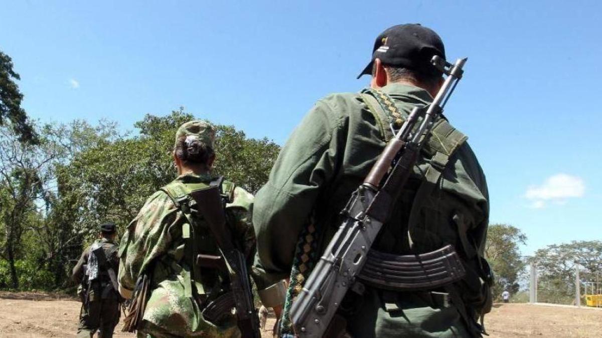 Jóvenes desmovilizados, que sobrevivió al horror de la integración de un grupo armado ilegal en Nariño

 – Ojo critico