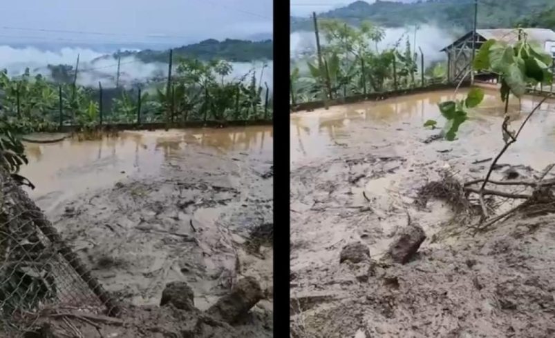 Las lluvias en Quindio están dejando caminos cerrados, deslizamientos de tierra y 120 familias de inspiración en Génova y otros pavimentos