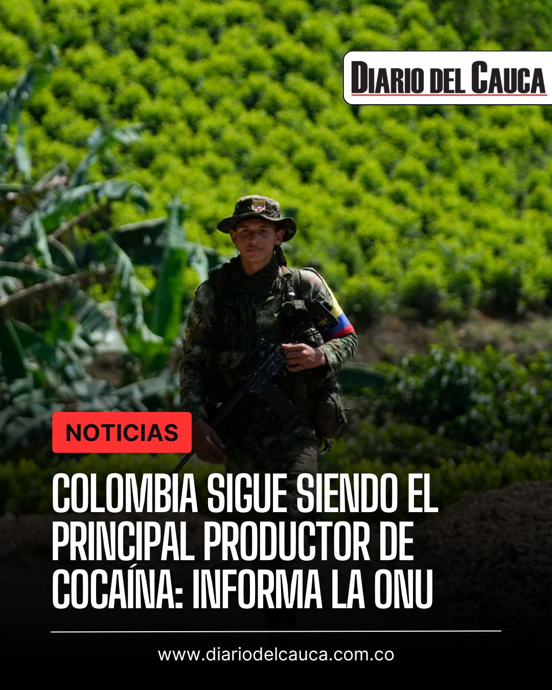 Colombia sigue siendo el productor de cocaína más importante: la advertencia de la ONU para un aumento del 53 %

 – Ojo critico