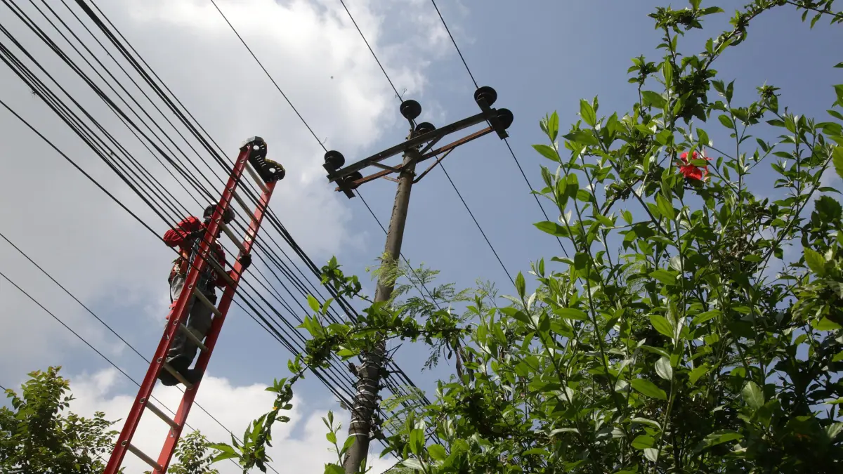¡Ojo! Cutki Energy en cinco distritos de todos el martes 24 de junio para el mantenimiento: lo que debe saber

 – Ojo critico