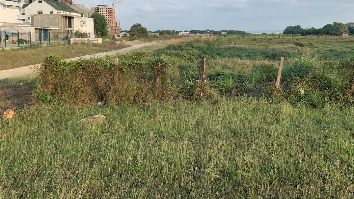 La Corte Suprema parece ser un fracaso histórico en caso de presunto robo de la Tierra en Aerocivil en Cartagena

 – Ojo critico