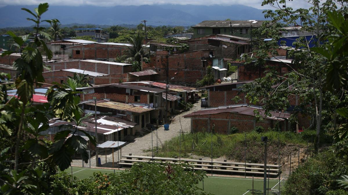 ¿Por qué los asesinatos siguen disparando en Buenaventure? La mayor parte del fin de semana tuvo lugar en las zonas rurales

 – Ojo critico