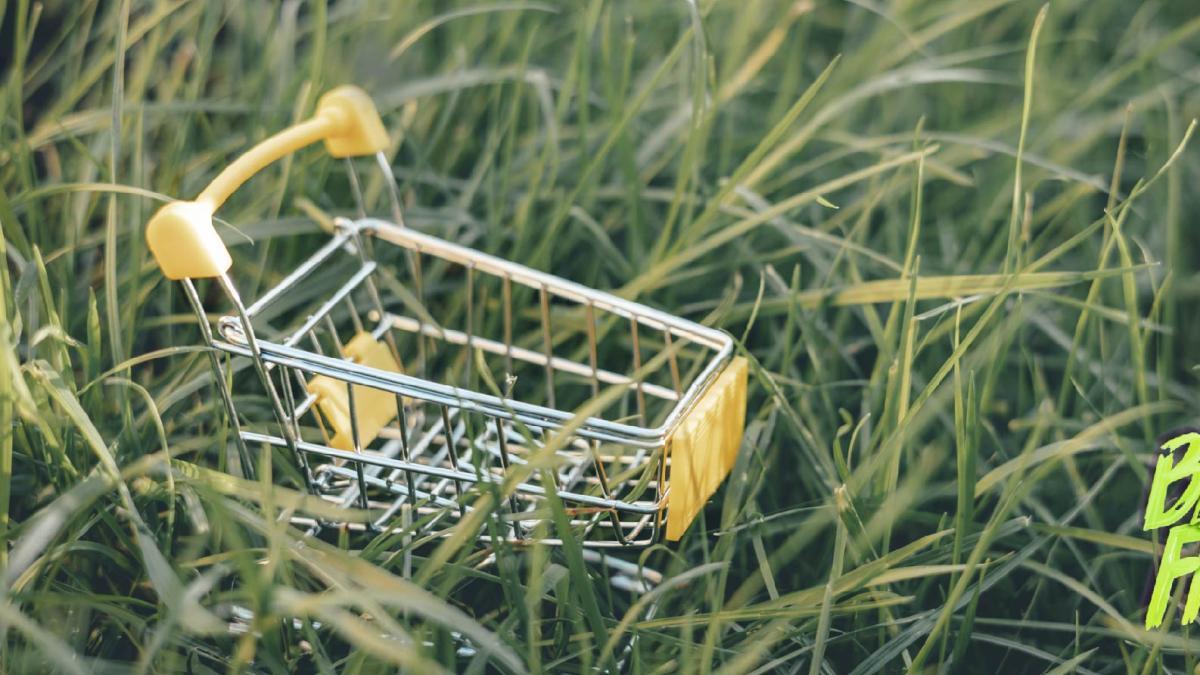 Compras sostenibles, BNPL y otros

 – Ojo critico