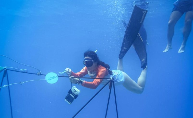 Así es como funcionan las guarderías de coral, que buscan revivir el arrecife en San Andrés

 – Ojo critico