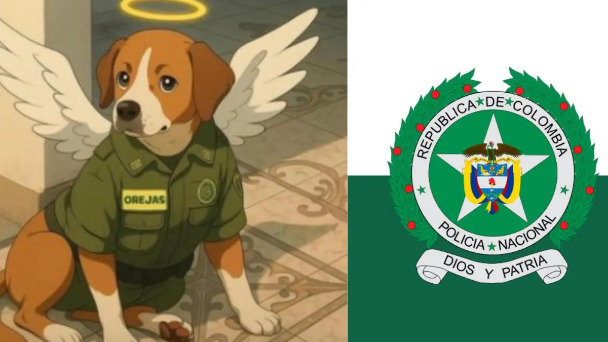 Había un «oído», un cachorro que murió mientras acosaba en la estación de policía en Antioquia

 – Ojo critico
