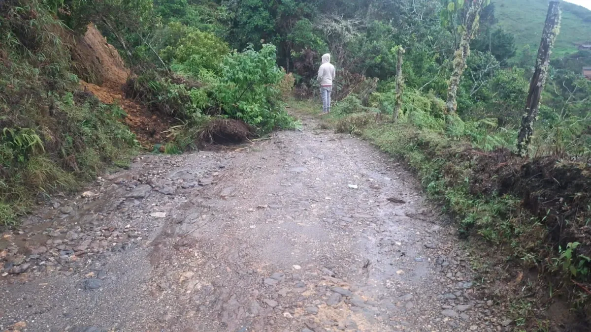 Declarar la urgencia del manifiesto con respecto al impacto en las rutas departamentales

 – Ojo critico