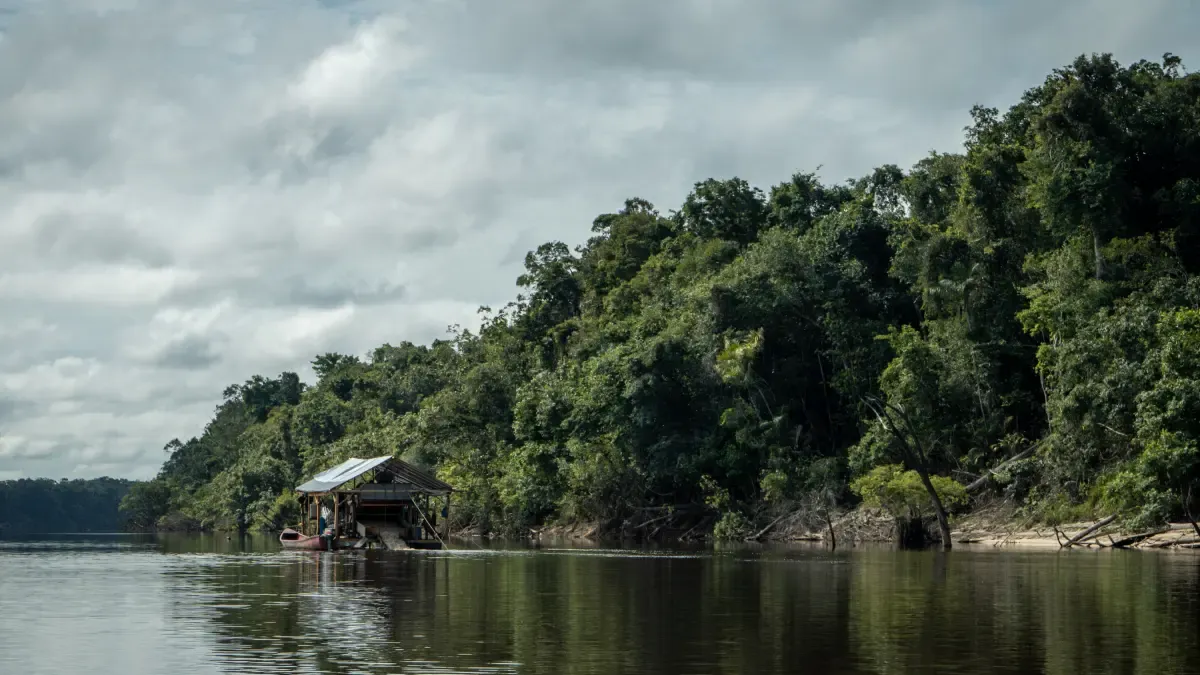 el veneno que contamina a comunidades y ríos en Guainía – Ojo critico