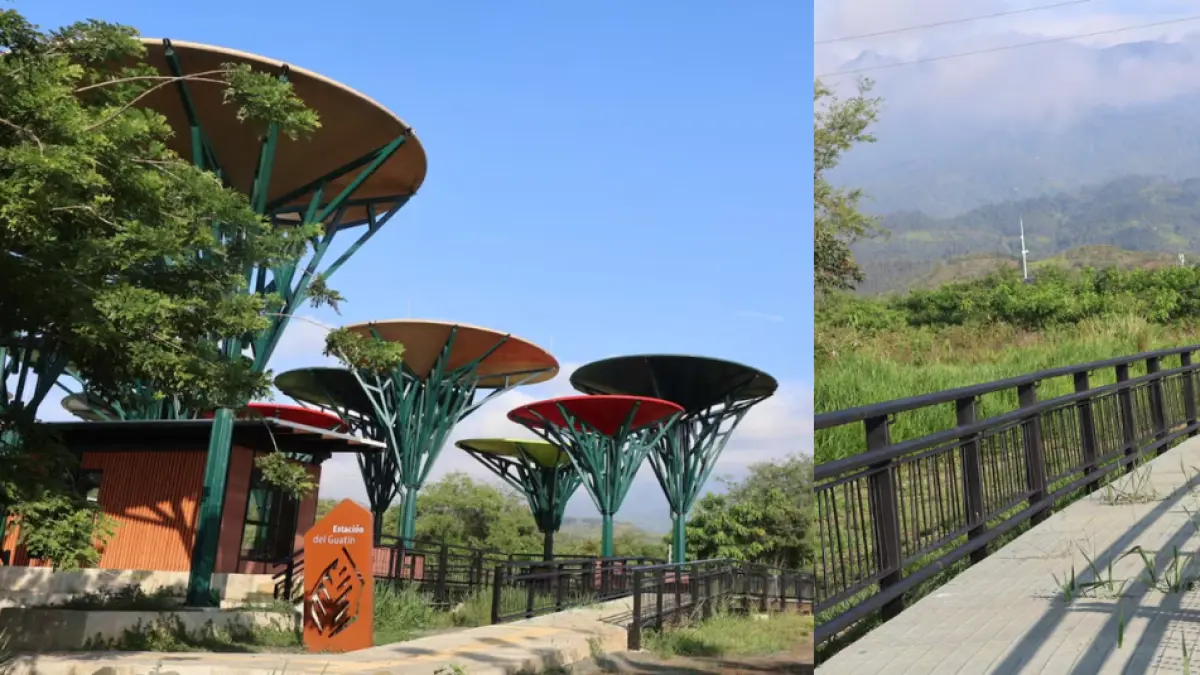 Un nuevo espacio natural dedicado a la renovación ecológica

 – Ojo critico