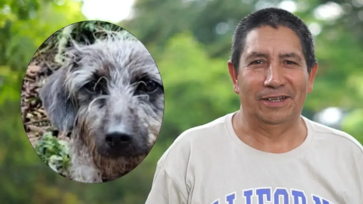 El perro lo acompañó hasta el final

 – Ojo critico
