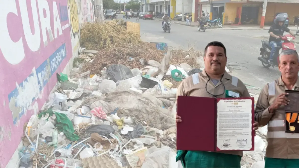 El Congreso otorga la compañía de limpieza de Santa Marta a pesar de las quejas del usuario: ¿Qué reacciona con los ates?

 – Ojo critico