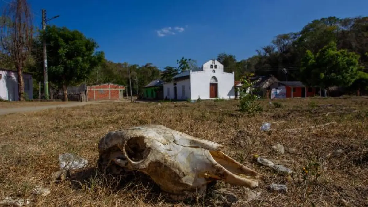 Salado, en suspenso 25 años sin salud, agua o carreteras: ¿hay alguna esperanza para una comunidad olvidada?

 – Ojo critico