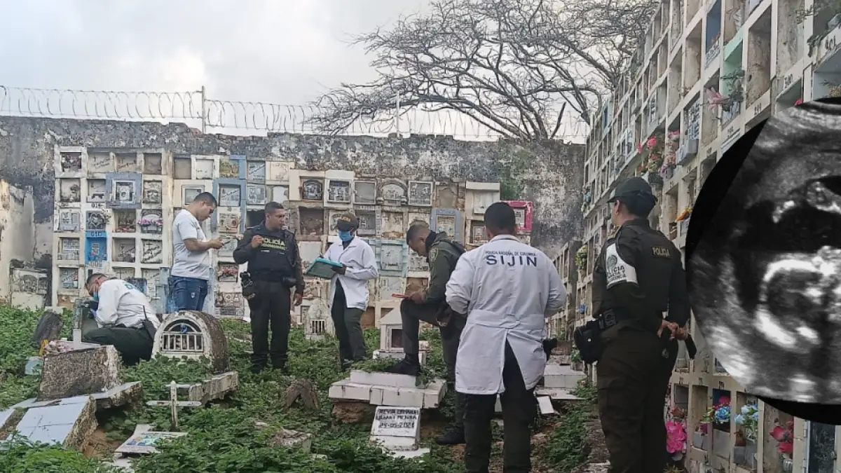 Encuentran el feto que la pareja dejaría en la bolsa

 – Ojo critico