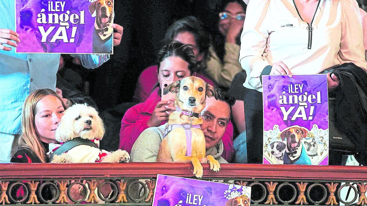 Colombia se dirige hacia los animales

 – Ojo critico