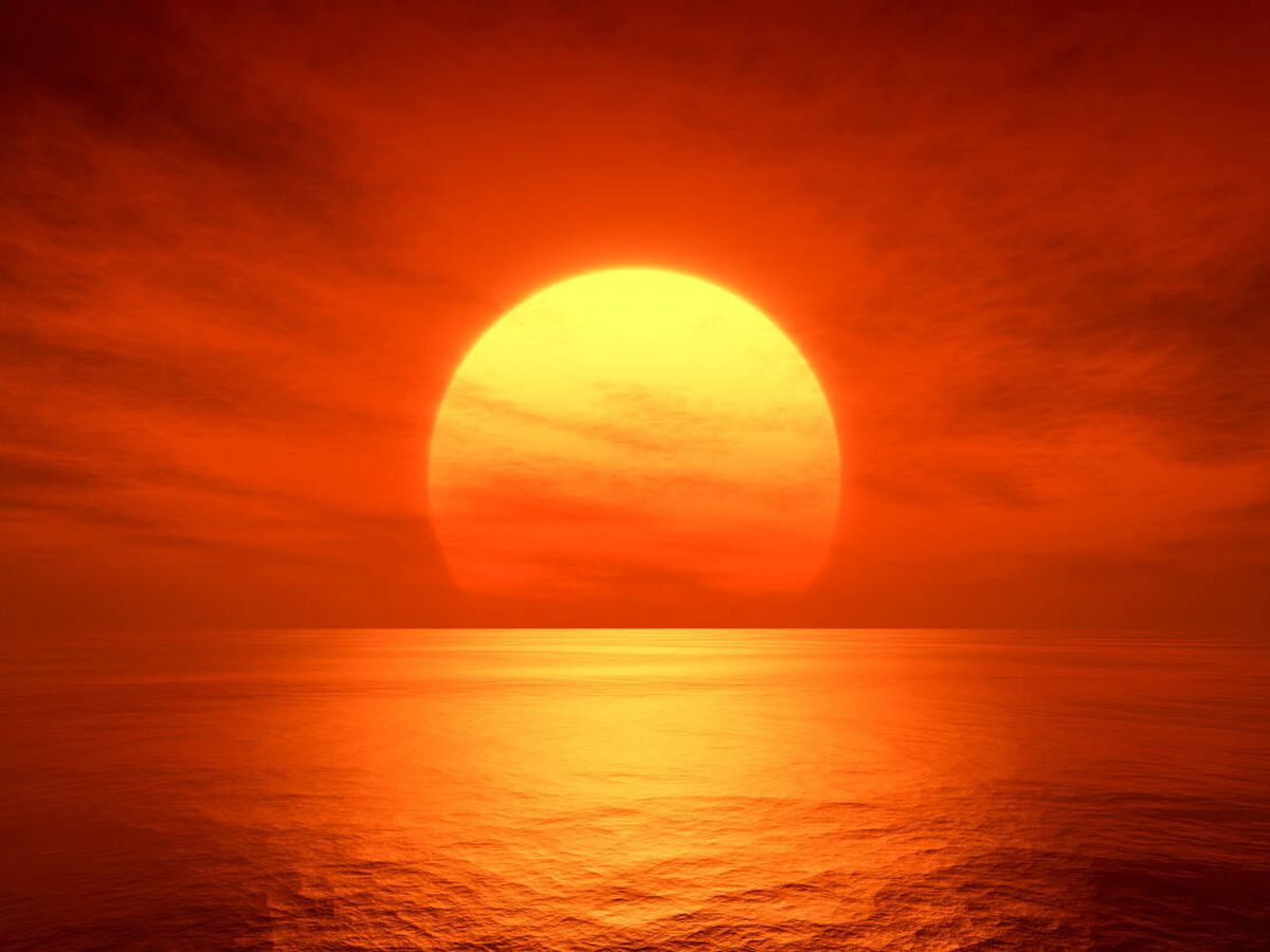 Día Sunny Internacional: un día para mirar el cielo y pensar en el futuro

 – Ojo critico