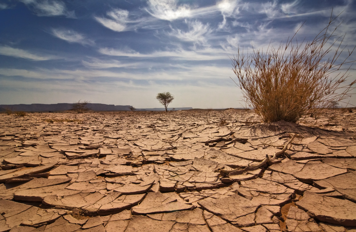Día del Mundo para combatir el desierto de la propagación y la sequía: un desafío global

 – Ojo critico