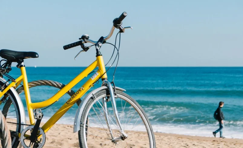 Día mundial de la bicicleta: un impulsor contra la movilidad sostenible

 – Ojo critico