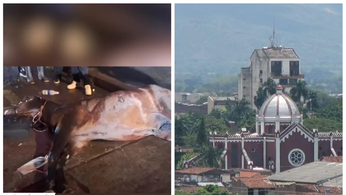 El caballo murió de ataque cardíaco; Van 3 años con la muerte de caballos

 – Ojo critico