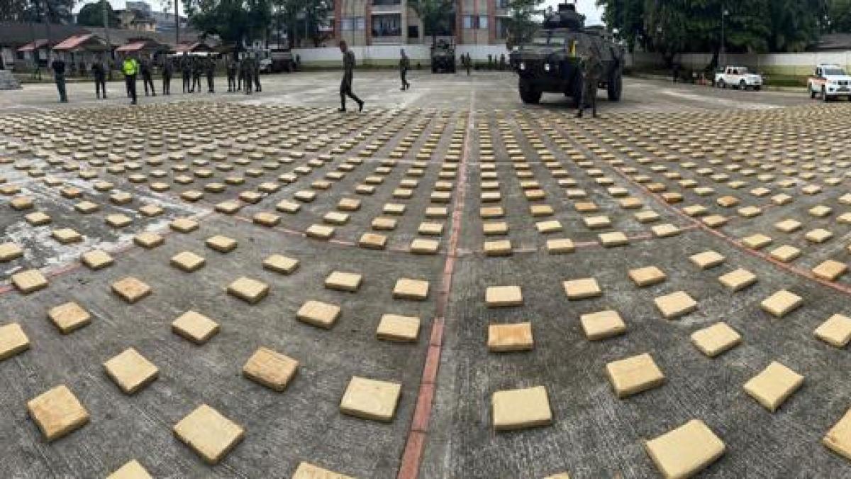 El conductor intentó sobornar 200 millones

 – Ojo critico