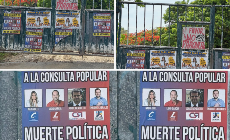 El mensaje de «muerte política» hacia los senadores que no votaron por consultas populares

 – Ojo critico