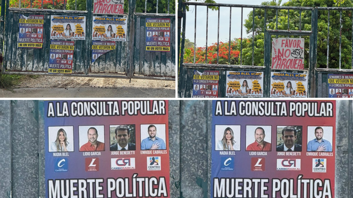 El mensaje de «muerte política» hacia los senadores que no votaron por consultas populares

 – Ojo critico