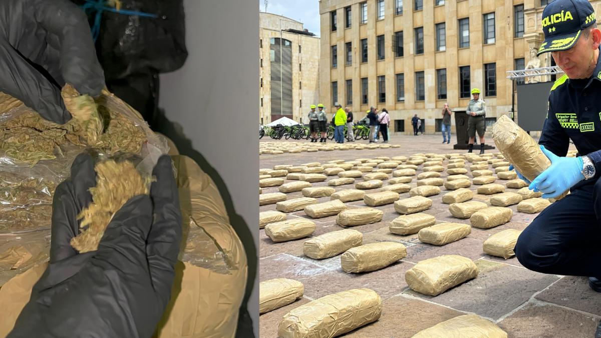 Entonces el segundo mayor cargo de drogas cayó en Bucaramanga

 – Ojo critico