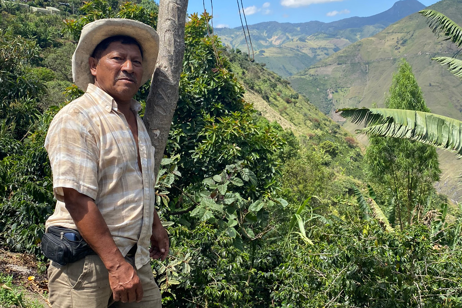 Nariño, cariño, uno de los mejores cafés

 – Ojo critico
