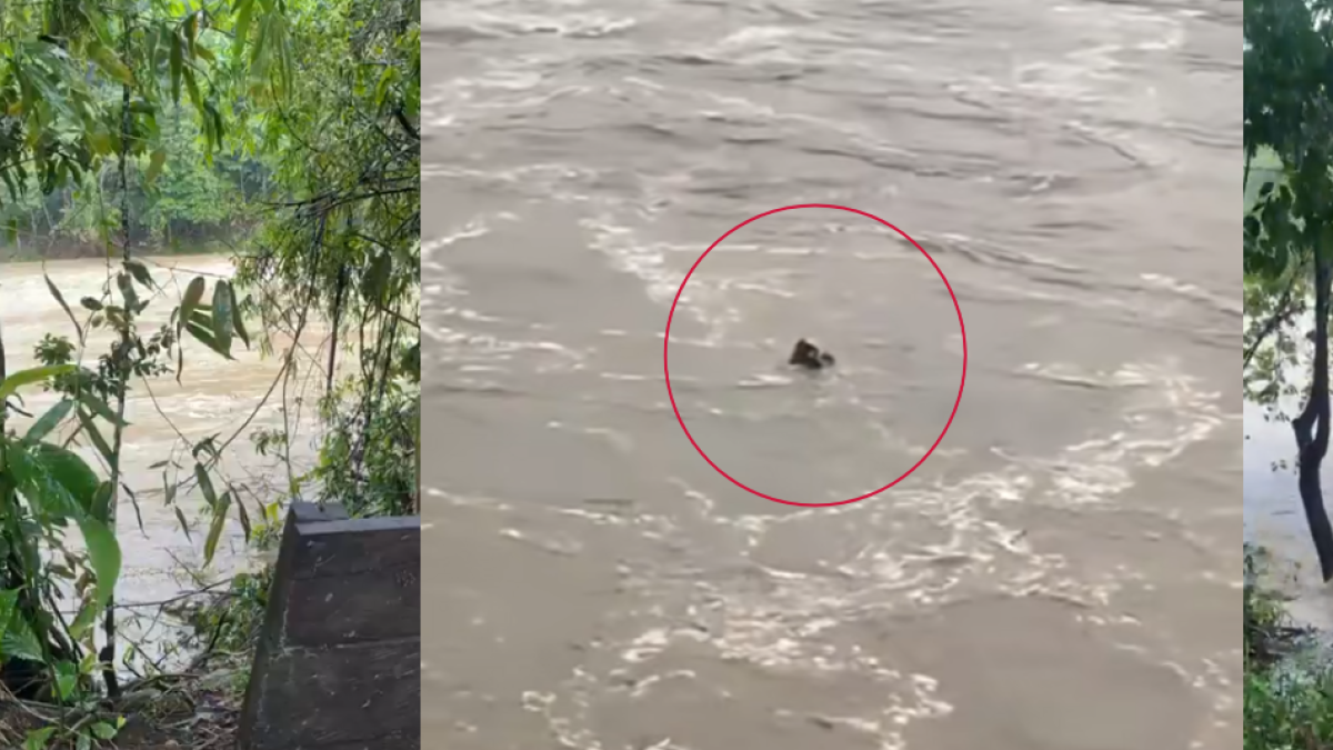 Una tragedia en el río Güjar, gol, balsas y kayak, que destruye con varios turistas: «nadan los cuerpos»

 – Ojo critico