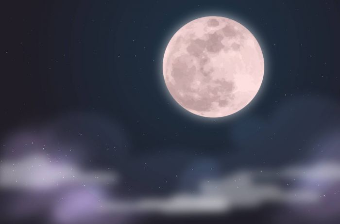 Junio ​​de 2025 Calendario lunar: fases y eventos celestiales que marcan el mes

 – Ojo critico