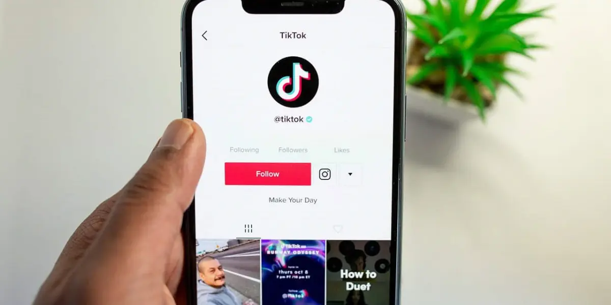 Tiiktok publica el modo REST

 – Ojo critico