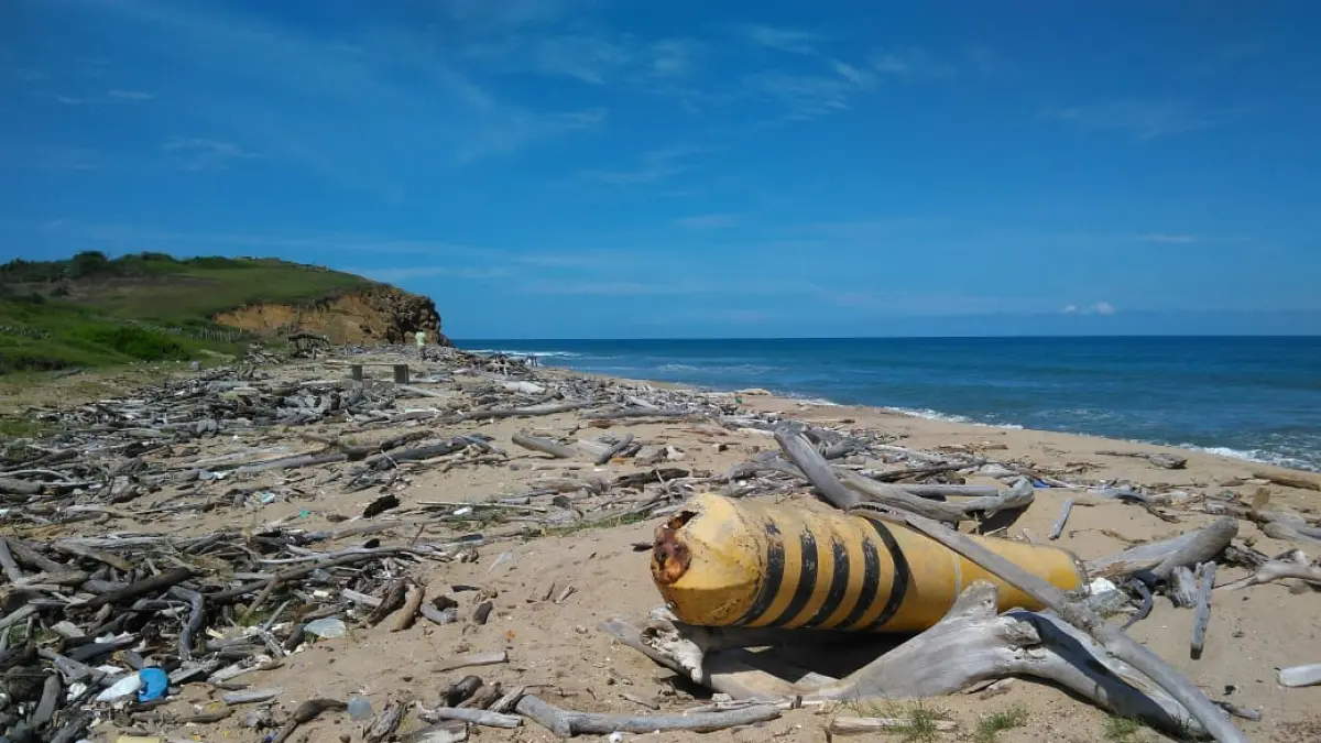 Descubren que la madera de deriva puede ser la clave para medir la contaminación plástica en las playas del Caribe.

 – Ojo critico