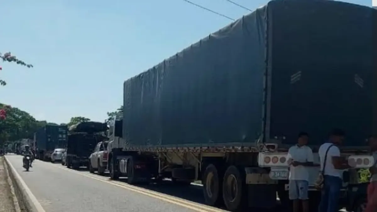 Dos pilotos de Tractomul fueron asesinados en las carreteras de Montes de María en robos

 – Ojo critico