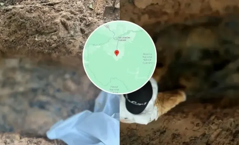 Identidad de ocho campesinos asesinados y obligados a cavar una tumba

 – Ojo critico