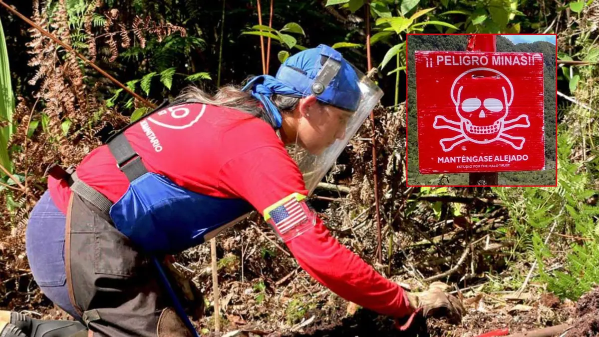 Lo que se sabe para intimidar a los disidentes de FARC a la misión de desminación internacional en Antioquia

 – Ojo critico