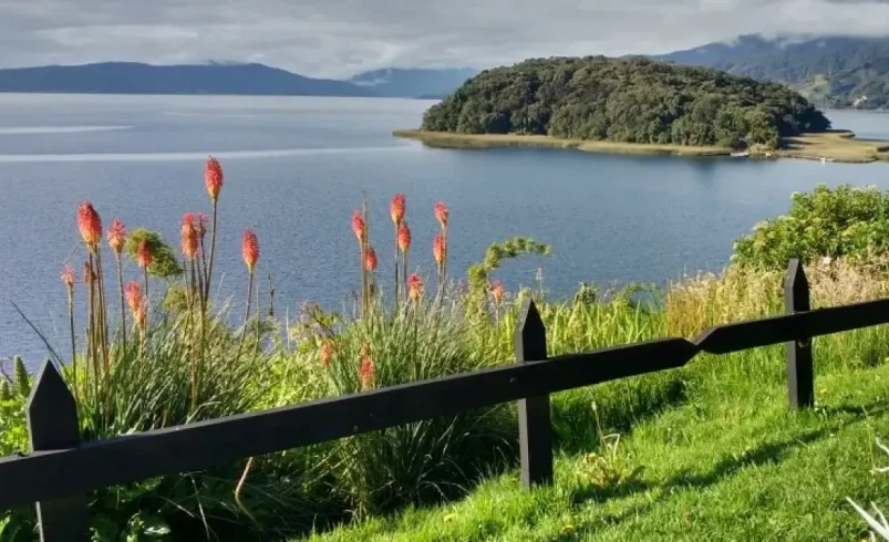 Una isla específica ubicada en el lago Nariño, que se anunció un santuario

 – Ojo critico