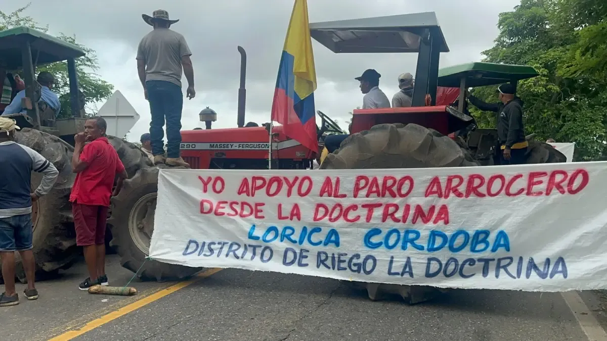 Huelga de arroz en Colombia hoy 16 de julio

 – Ojo critico