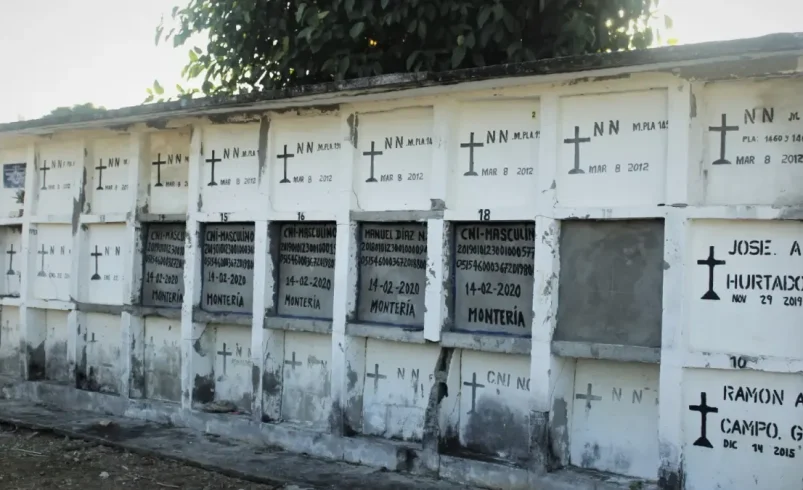 Están mirando el cementerio del Cáucaso para los que faltan en conflicto

 – Ojo critico