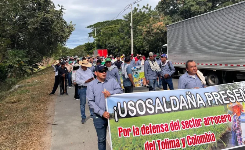 Huelga de arroz en Colombia hoy 17 de julio

 – Ojo critico