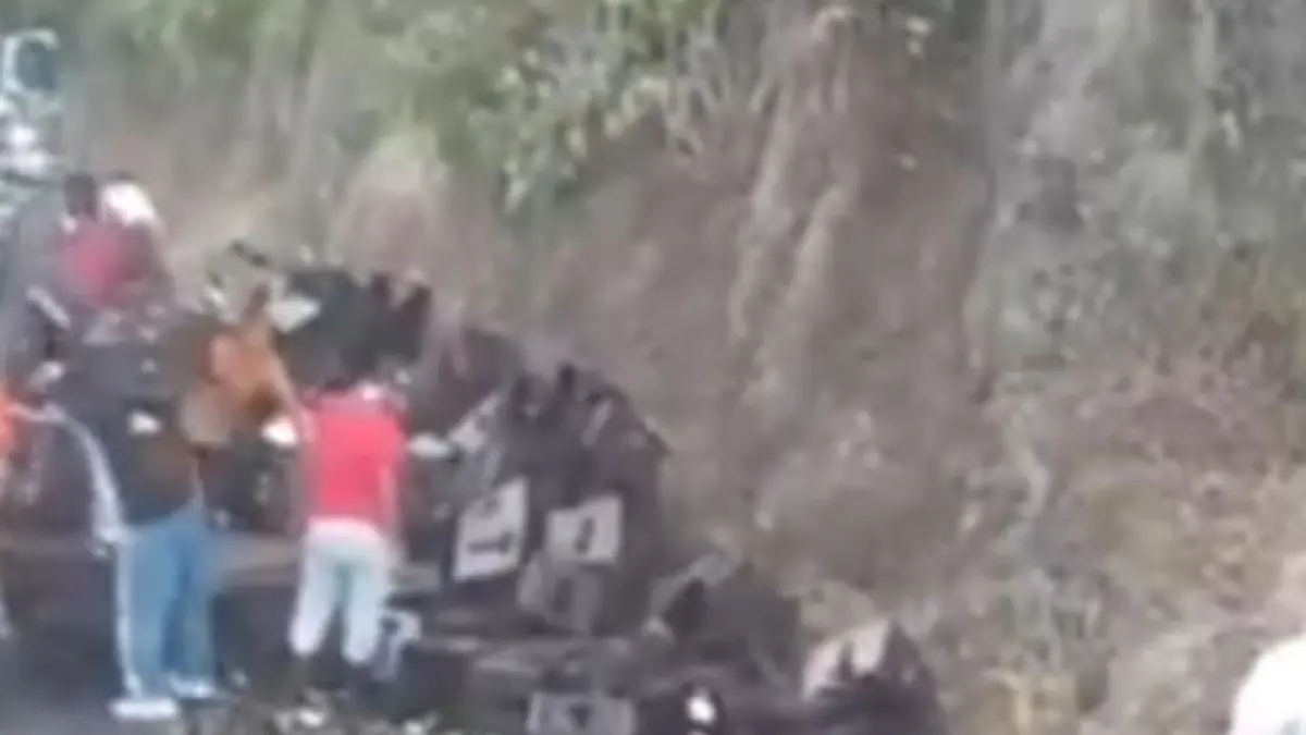 Beer Truck después de un accidente grave en la parte superior de la línea: las pinturas generaron rechazo en las redes sociales

 – Ojo critico