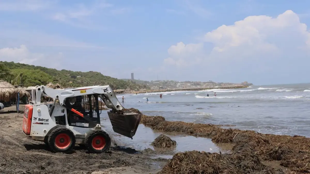 Puerto Colombia recolecta más de 30 toneladas de Tarull en Salgar para proteger sus playas y garantizar el turismo sostenible
 – Ojo critico