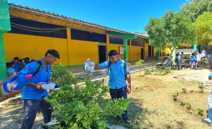 En Bolívar, el maestro transforma las áreas verdes olvidadas en una clase externa que combina geometría, ecología, arte y tecnología con una visión

 – Ojo critico