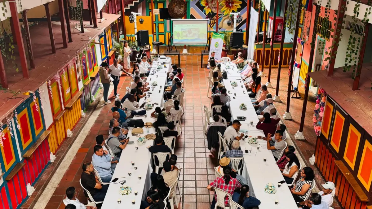 ¿Cómo mejoraron más de 2.000 personas en las zonas rurales al norte de Valle del Cauca?

 – Ojo critico