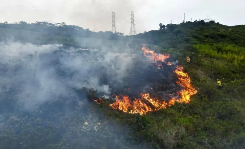 Cerro de Las Tres Cruces de Cali: Los bomberos están luchando contra el fuego en la falta de falta; La oficina del alcalde redujo el riesgo de riesgo

 – Ojo critico