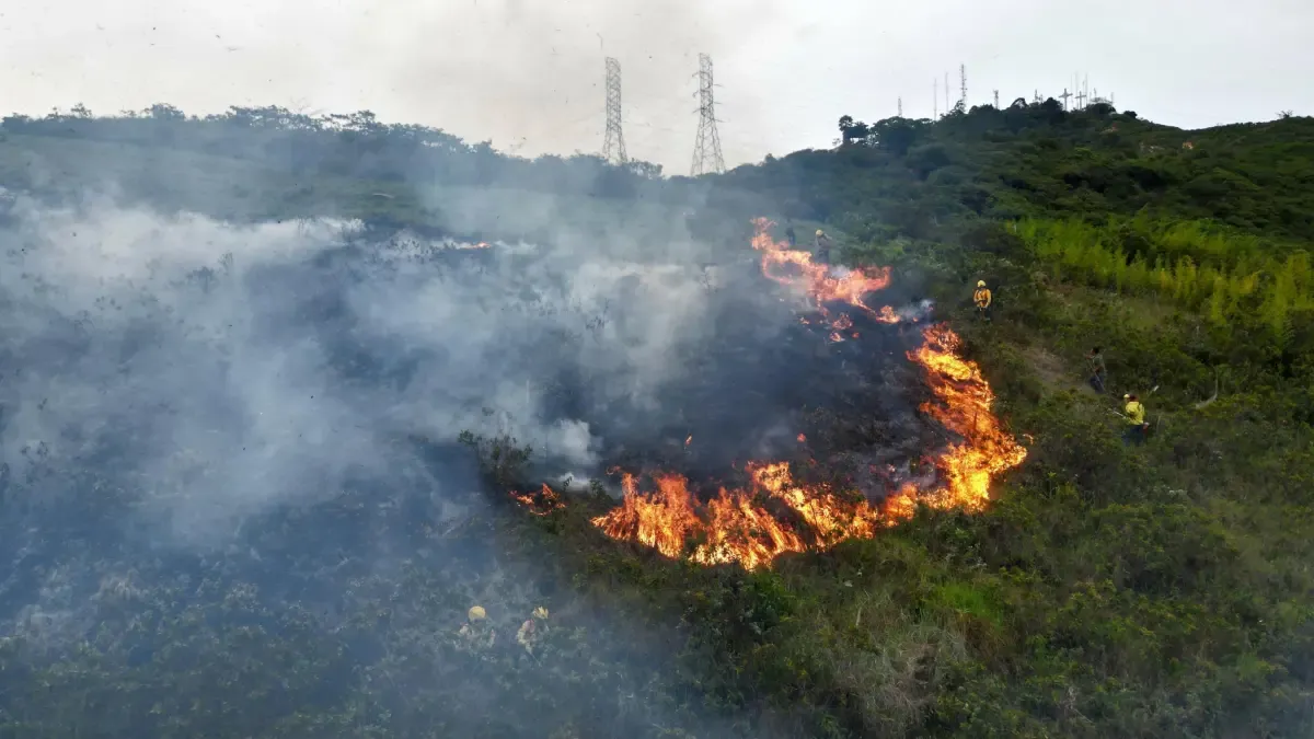 Cerro de Las Tres Cruces de Cali: Los bomberos están luchando contra el fuego en la falta de falta; La oficina del alcalde redujo el riesgo de riesgo

 – Ojo critico