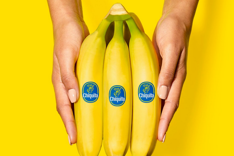 Para el financiamiento de los paramilitares, el ex jefe de las marcas de Chiquita debe pagar 11 años en prisión y una compensación de $ 13,000 millones a las víctimas
 – Ojo critico