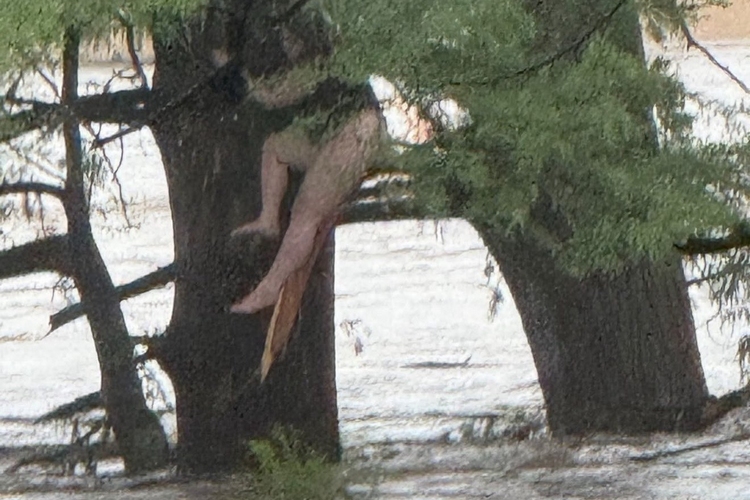 Tragedia en Texas: el río del río Guadalupe deja 24 muertas y 20 niñas desaparecidas en el campamento místico

 – Ojo critico